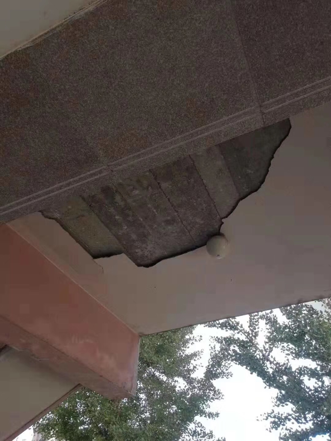 一竞技官方网站
